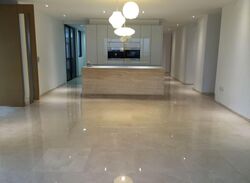 Trilight (D11), Condominium #589712541